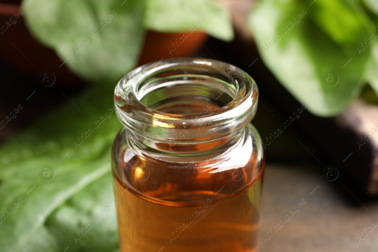 Photo of Bottle of broadleaf plantain extract, closeup view