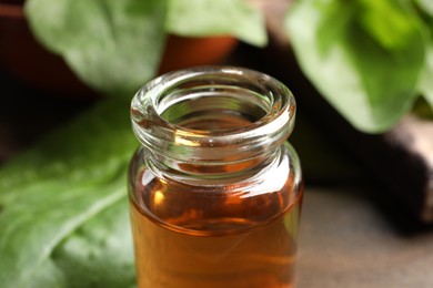 Photo of Bottle of broadleaf plantain extract, closeup view