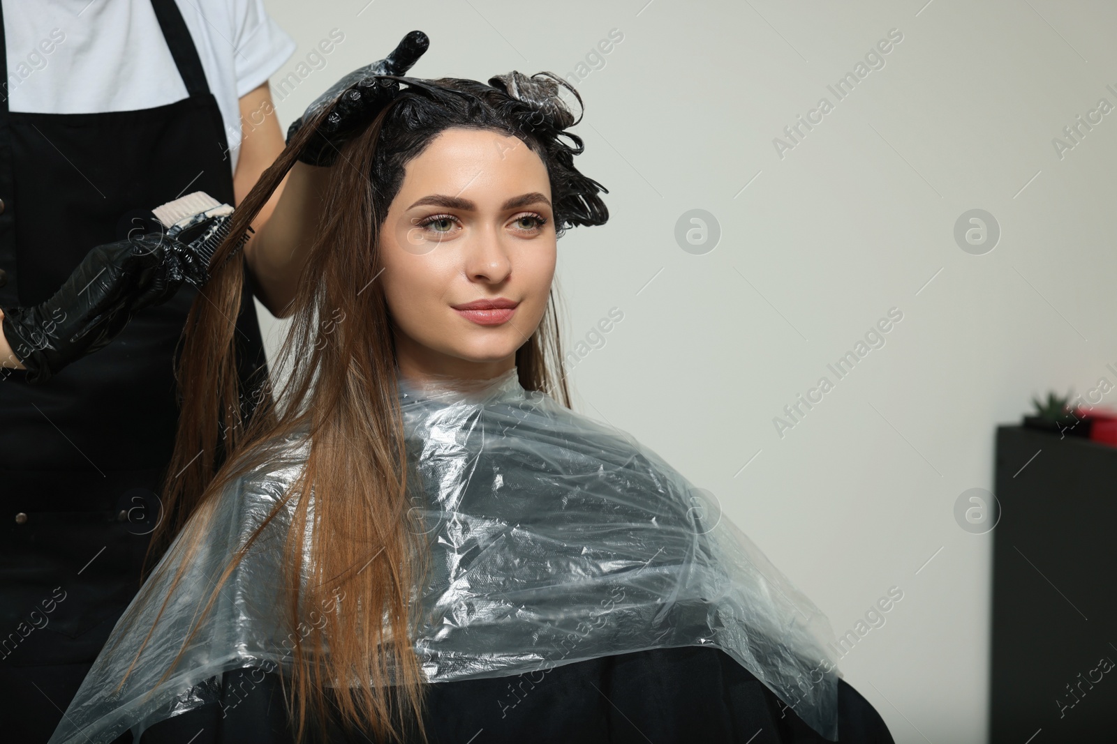 Photo of Professional hairdresser dyeing client's hair in beauty salon