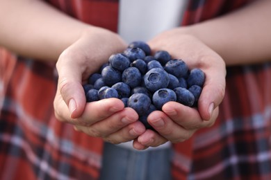 Woman holding heap of wild blueberries, closeup. Seasonal berries