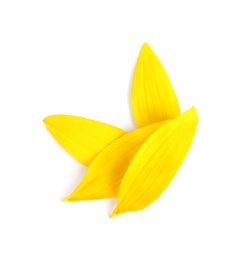 Photo of Fresh yellow sunflower petals isolated on white, top view