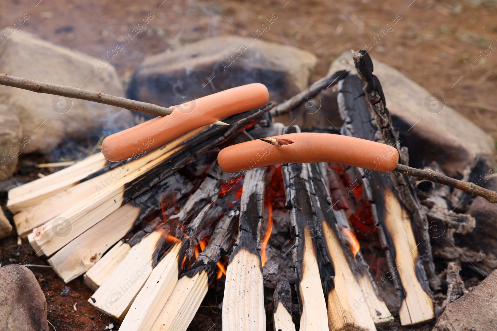 Photo of Roasting delicious sausages over campfire outdoors. Camping season