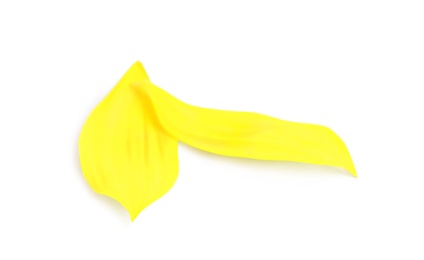 Photo of Fresh yellow sunflower petals isolated on white