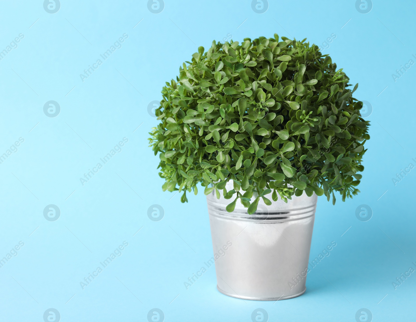 Photo of Beautiful artificial plant in flower pot on light blue background, space for text