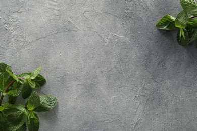 Food photography. Fresh aromatic mint leaves on grey textured table, flat lay with space for text