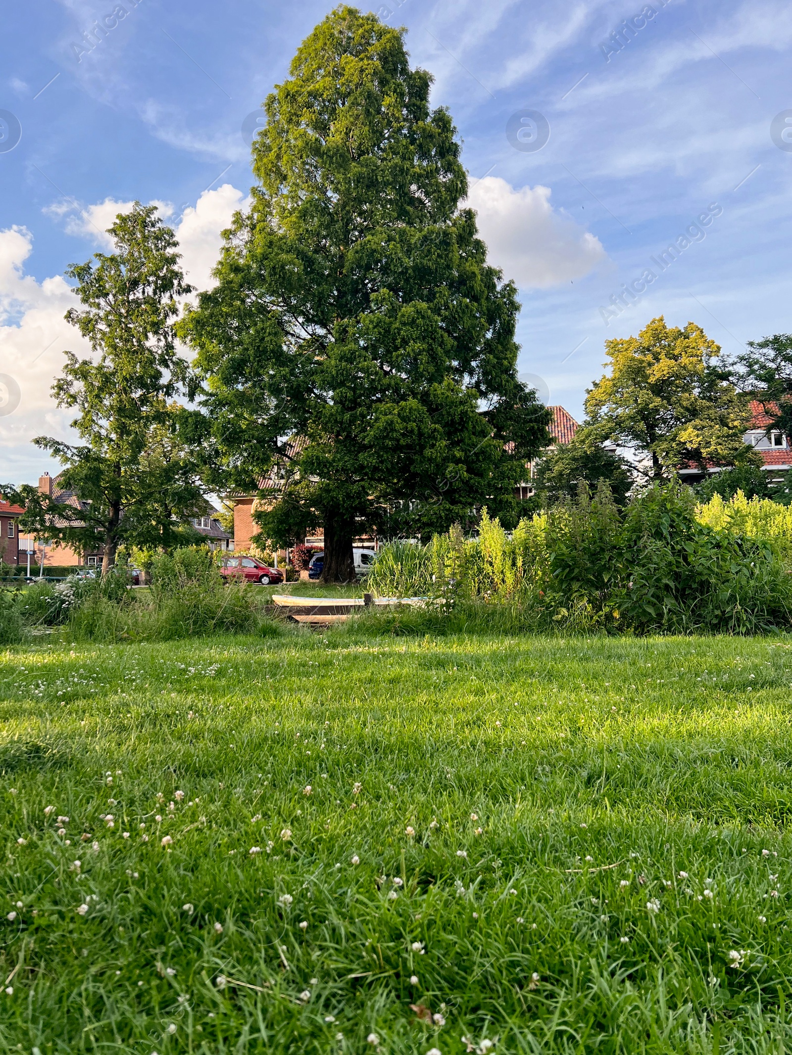 Photo of Picturesque view of beautiful park with fresh green grass and trees on sunny day