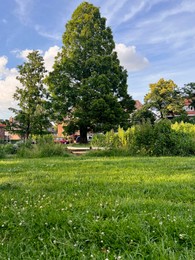 Photo of Picturesque view of beautiful park with fresh green grass and trees on sunny day