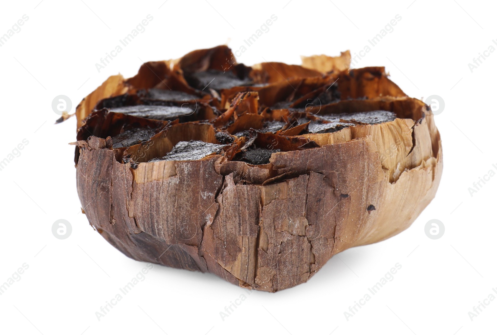 Photo of Organic fermented black garlic isolated on white