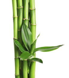 Photo of Green bamboo stems with leaves on white background