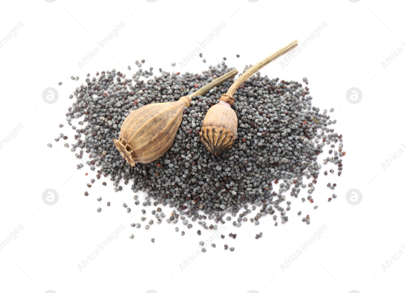 Photo of Dried poppyheads and seeds on white background