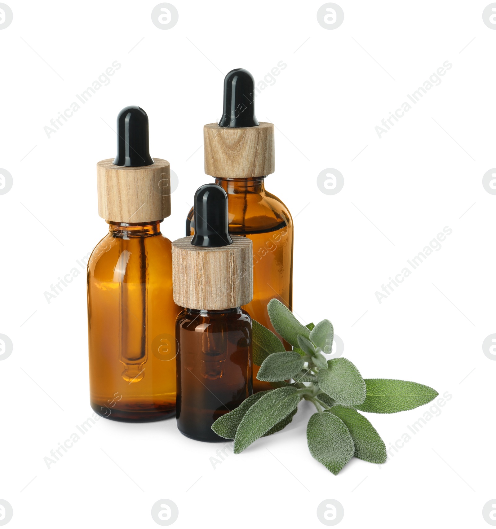 Photo of Bottles of essential oil and sage on white background