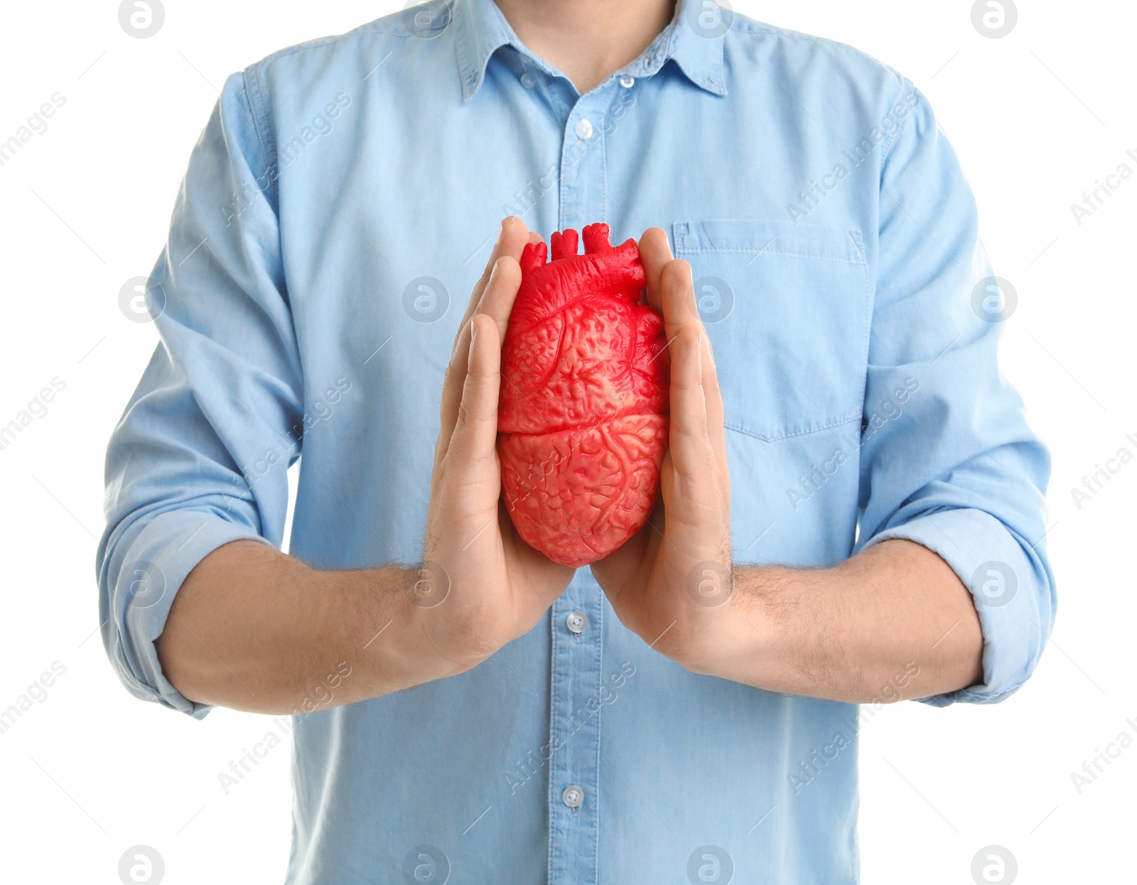 Photo of Man holding model of heart on white background. Heart attack concept