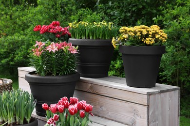 Photo of Many different potted flowers on wooden stand outdoors
