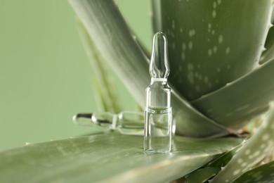 Photo of Skincare ampoules on aloe vera against light green background, closeup