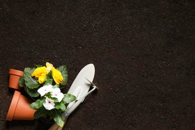 Photo of Flat lay composition with gardening tools and flowers on soil, space for text