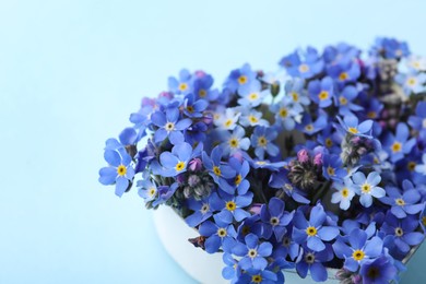 Beautiful forget-me-not flowers on light blue background, closeup