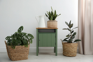 Different tropical plants in wicker pots near white wall at home