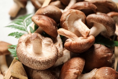 Photo of Fresh wild shiitake mushrooms on table, closeup