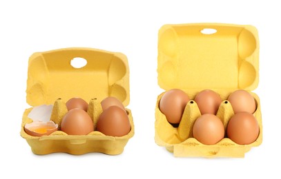 Image of Brown chicken eggs in egg cartons isolated on white, set