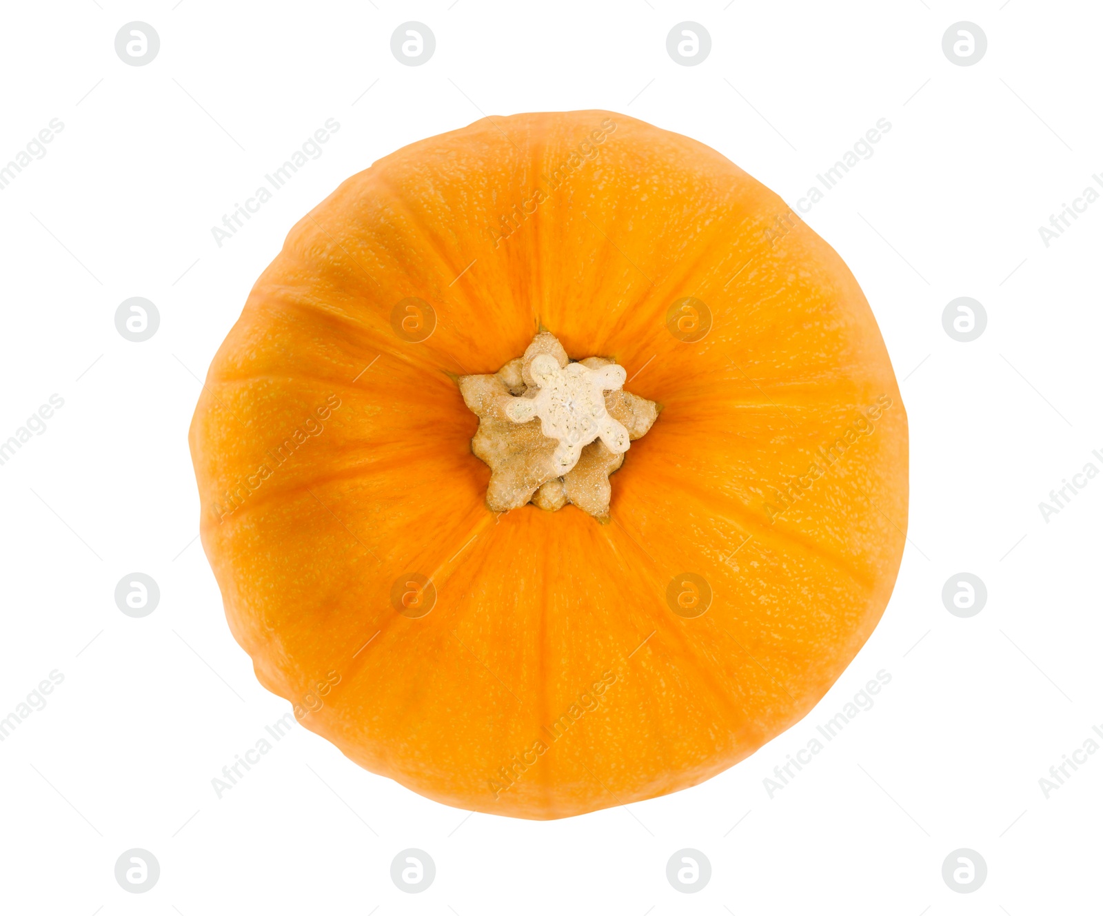 Photo of Fresh ripe pumpkin isolated on white, top view