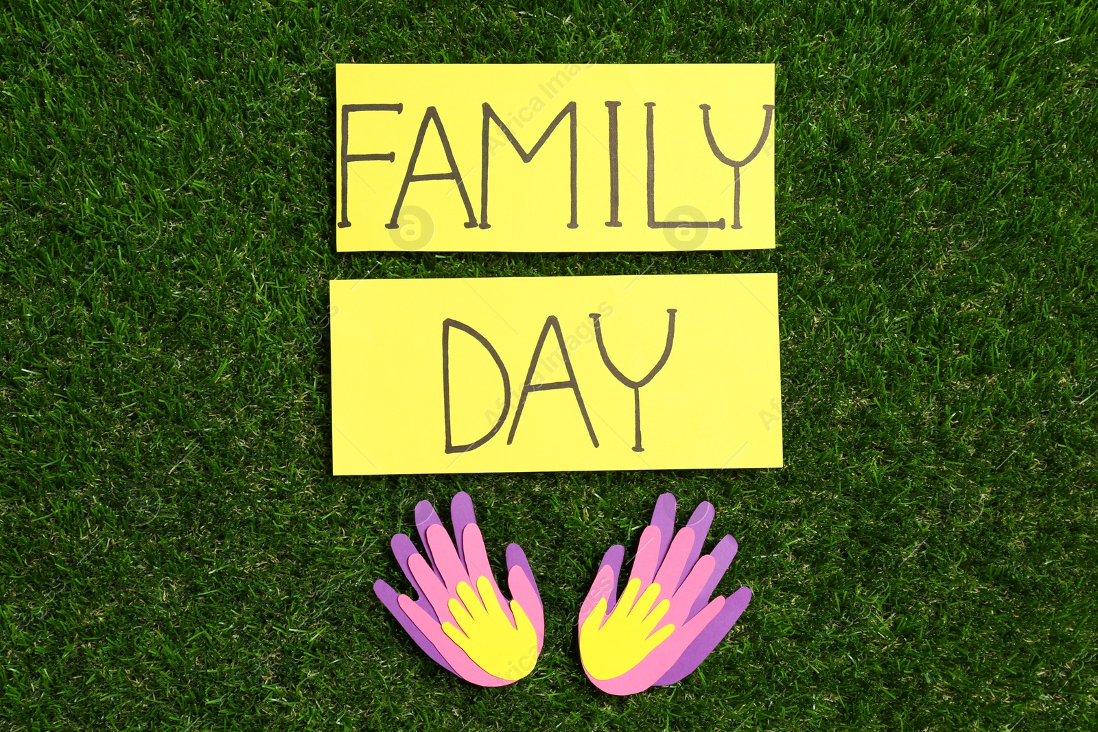 Photo of Cards with text Family Day and paper palms on green grass, flat lay