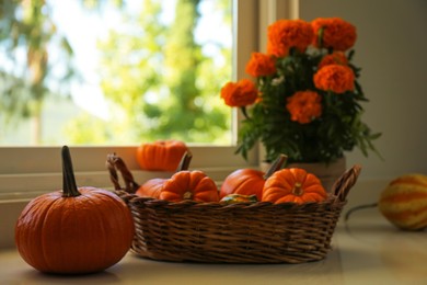 Photo of Many whole ripe pumpkins and potted flowers on windowsill indoors