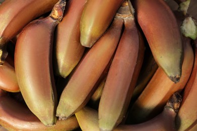 Delicious purple bananas as background, top view