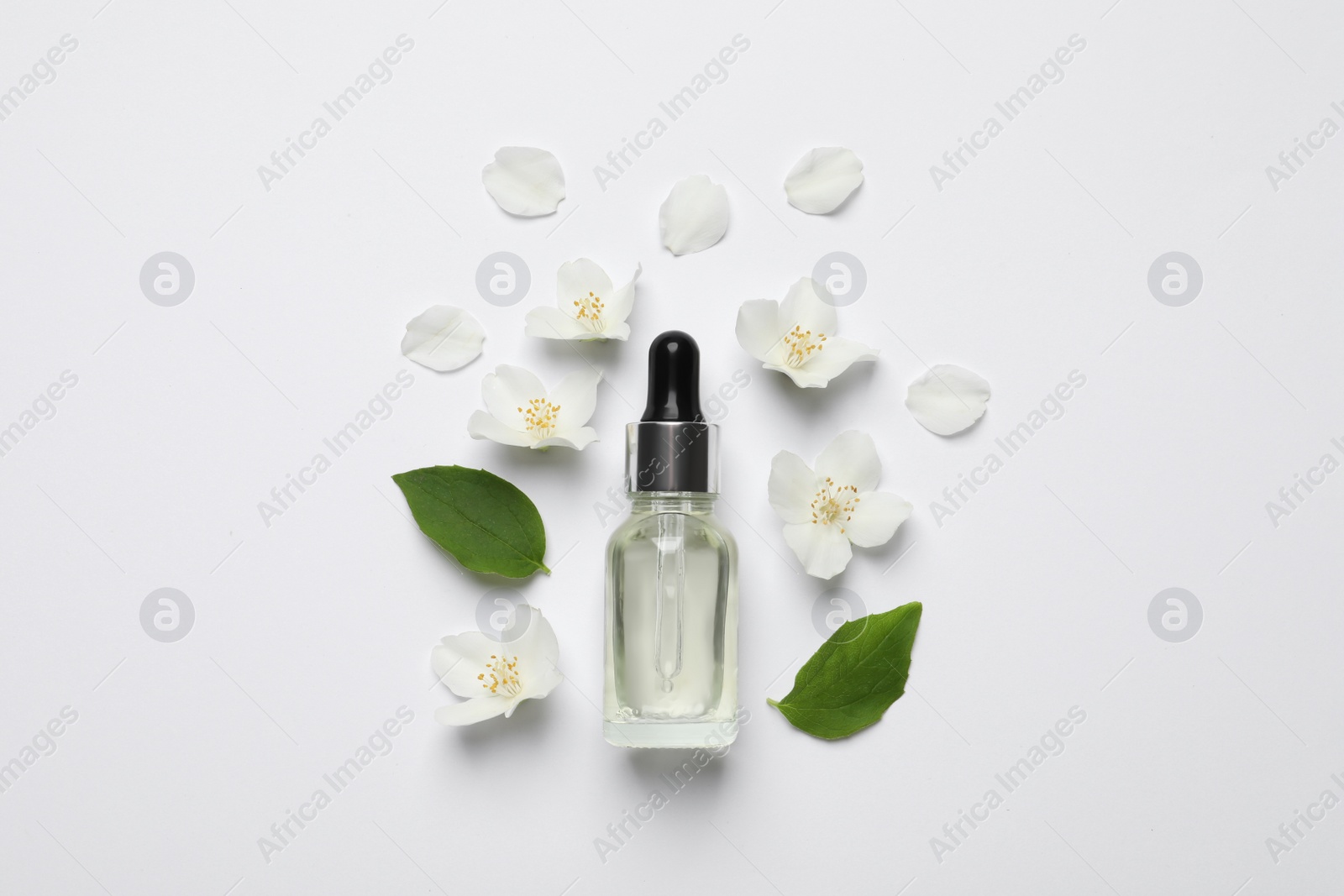 Photo of Jasmine essential and fresh flowers on white background, top view