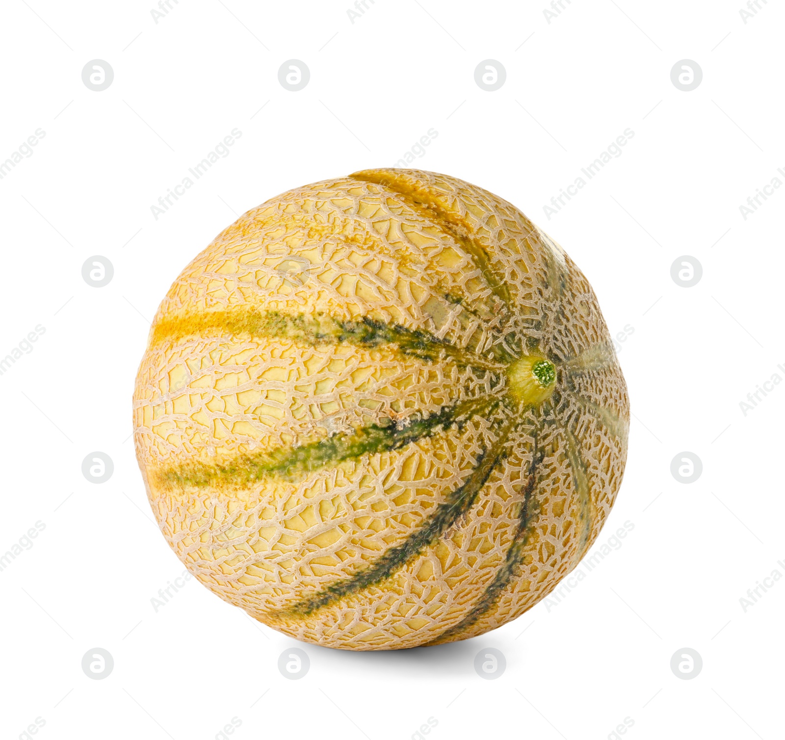 Photo of Whole tasty ripe melon on white background