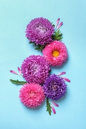 Photo of Beautiful aster flowers on color background, top view