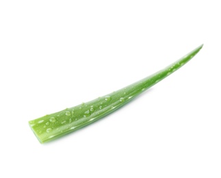 Photo of Aloe vera leaf on white background