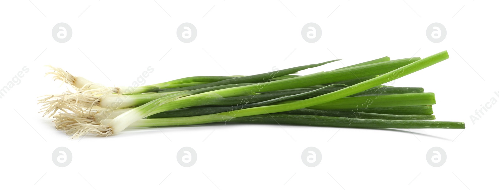 Photo of Fresh green spring onions on white background