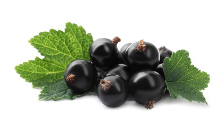 Photo of Ripe blackcurrants and leaves isolated on white