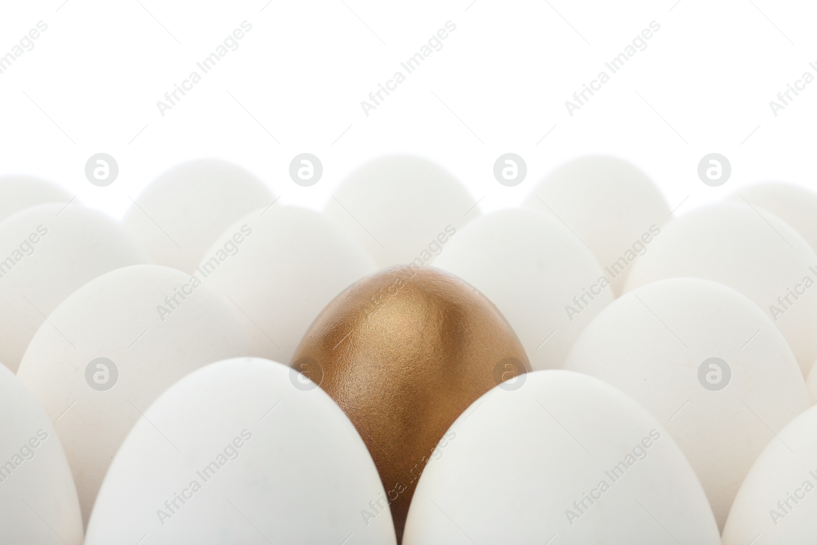 Photo of Golden egg among ordinary ones on white background, closeup