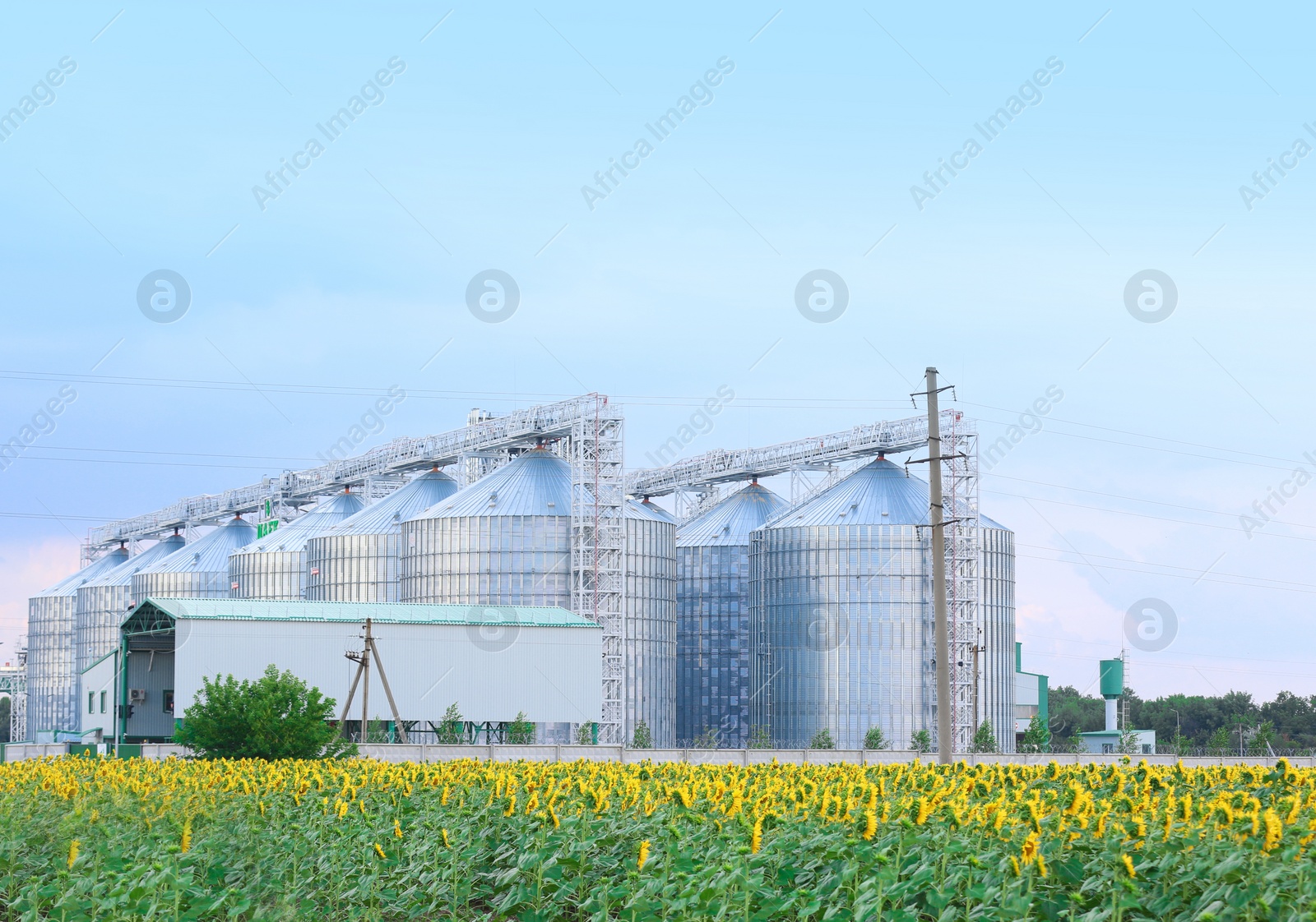 Photo of Row of modern granaries for storing cereal grains in field