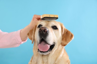 Photo of Woman brushing cute Labrador Retriever dog on light blue background, closeup