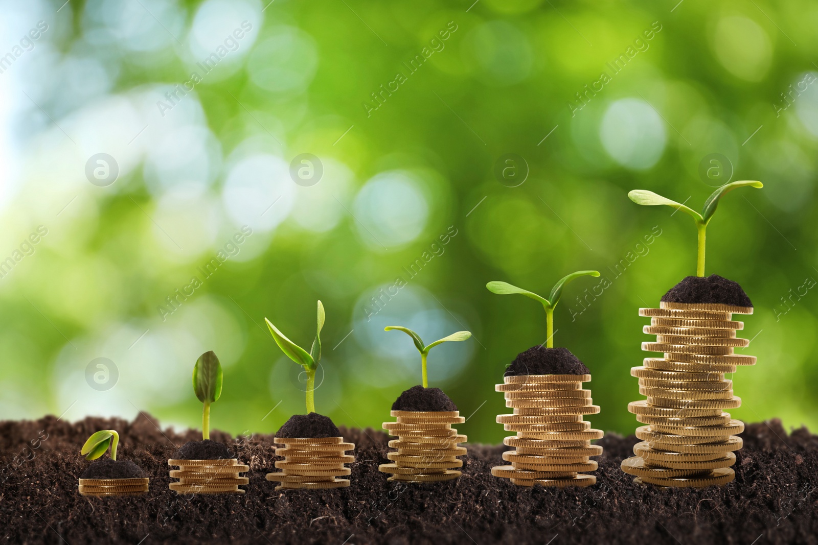 Image of Stacked coins and green seedlings on ground outdoors, bokeh effect. Investment concept