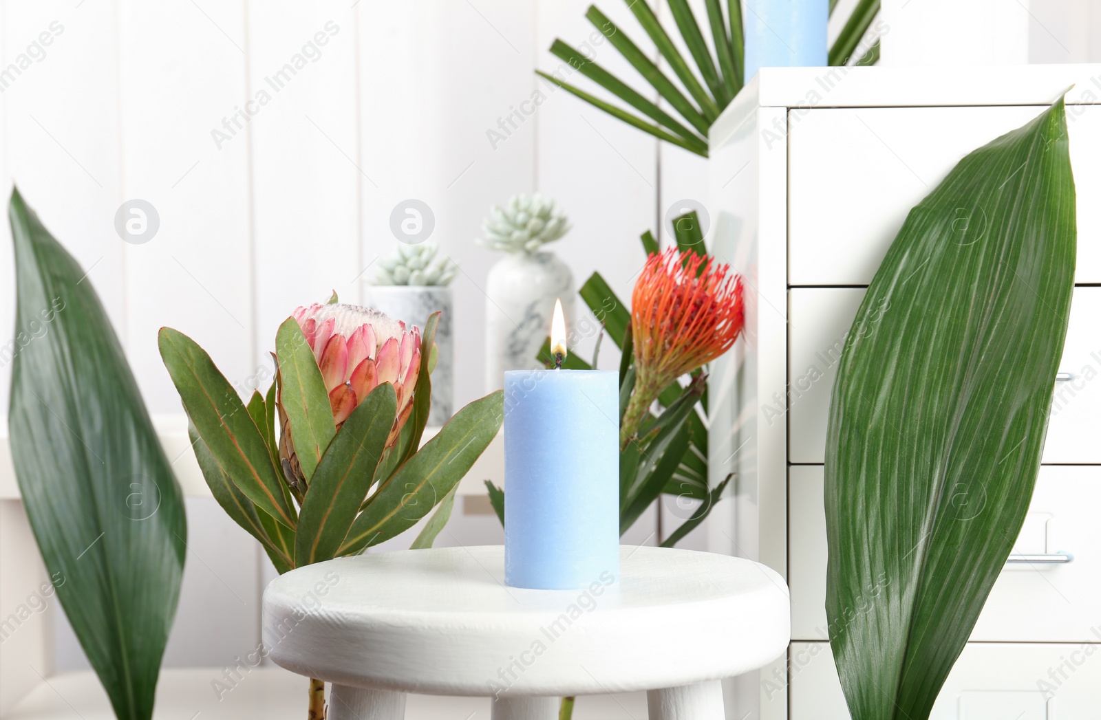 Photo of Creative composition with candle and tropical plants indoors