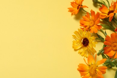 Beautiful fresh calendula flowers on yellow background, above view. Space for text