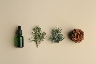 Flat lay composition with bottle of essential oil and pine branches on color background