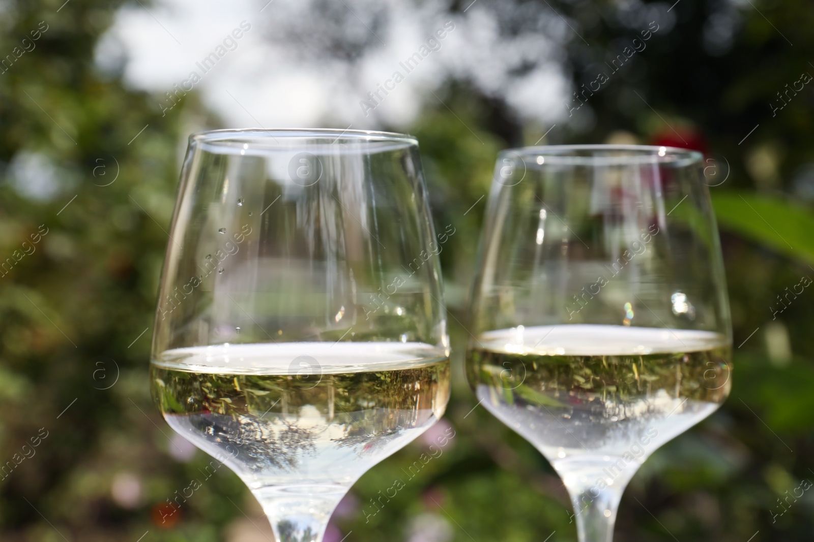 Photo of Glasses of delicious white wine outdoors, closeup