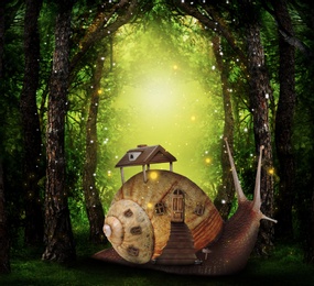 Image of Fantasy world. Magic snail with its shell house moving in beautiful fairy forest