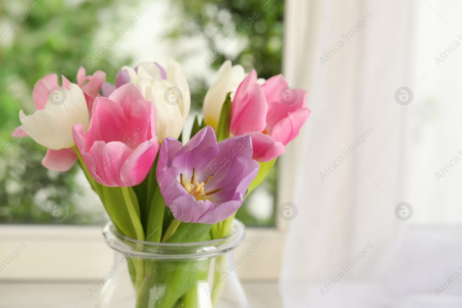 Photo of Beautiful fresh tulips near window indoors. Spring flowers