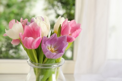 Beautiful fresh tulips near window indoors. Spring flowers