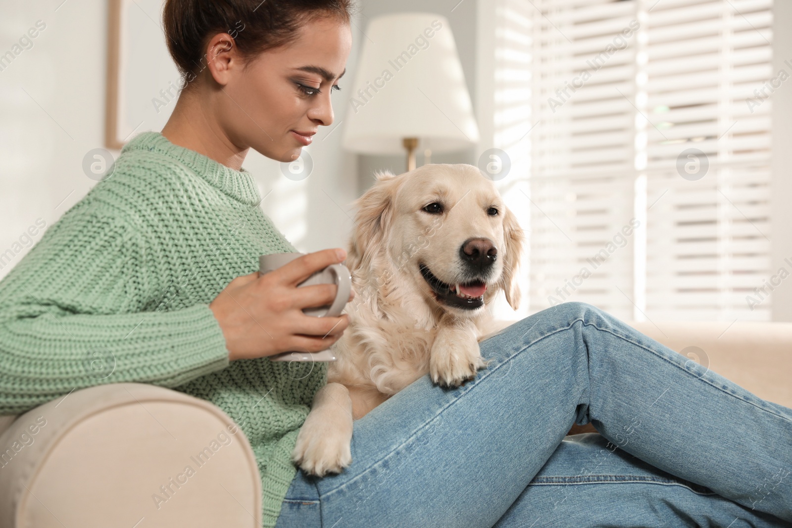 Photo of Young woman with cup of drink and her Golden Retriever on sofa at home. Adorable pet