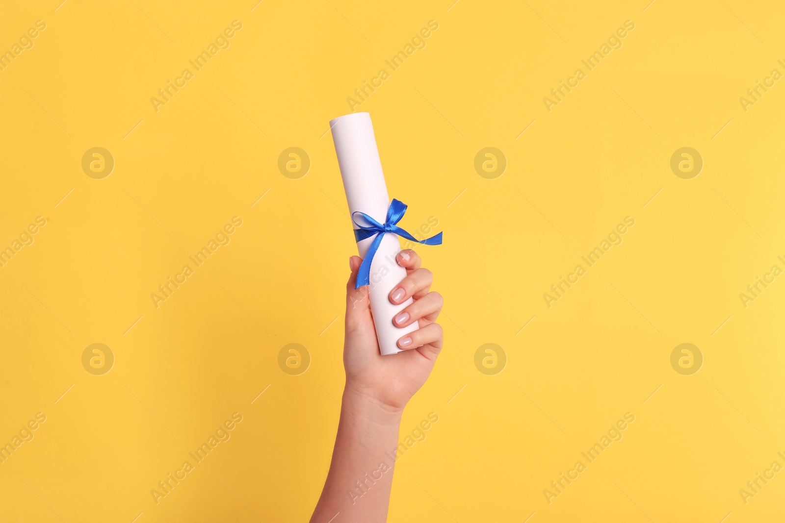 Photo of Student holding rolled diploma with blue ribbon on yellow background, closeup