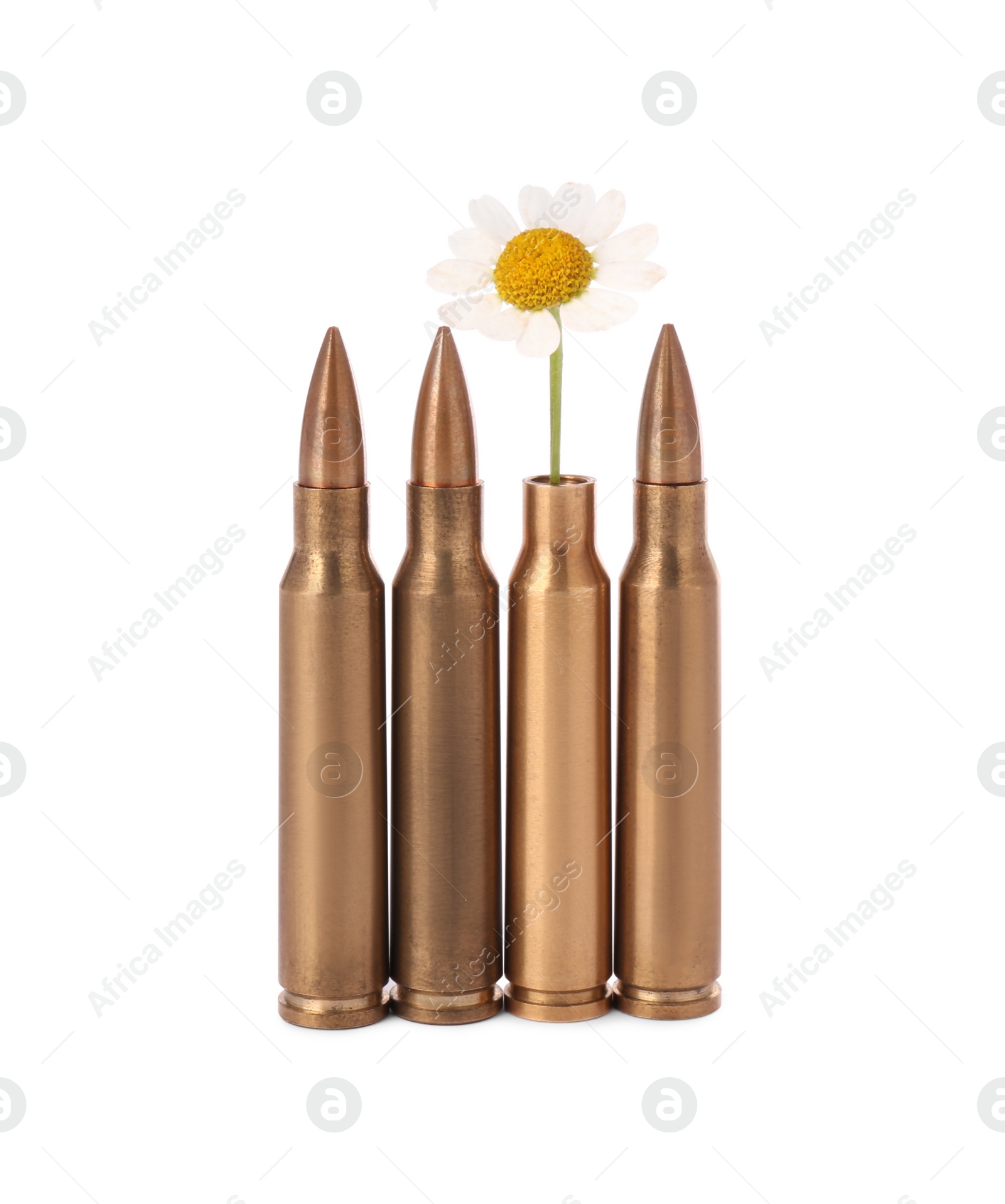 Photo of Bullets and cartridge case with beautiful flowers isolated on white