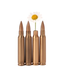 Photo of Bullets and cartridge case with beautiful flowers isolated on white