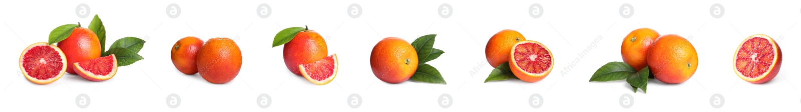 Image of Set with ripe red oranges on white background. Banner design