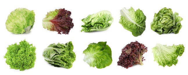 Image of Different types of lettuce isolated on white, collage design